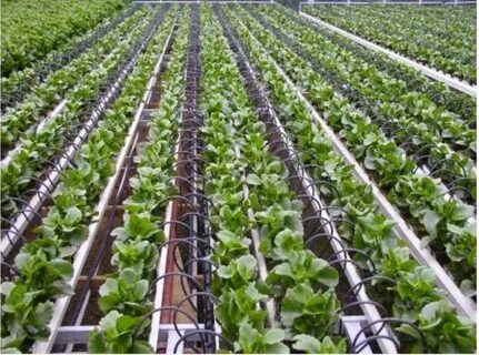 بهترین شرایط خرید نوار تیپ پلاکدار اسکای دریپ + قیمت عمده